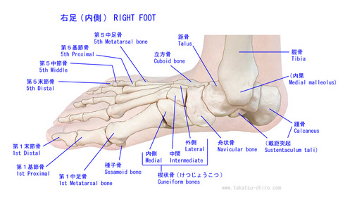 foot-in.jpg